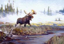 Envisioning Wildlife and Wilderness with the Big Four Wildlife art - Carl Rungius (1869–1959), "Morning Mist (Harlow Triptych)," c. 1930, oil on canvas, 47 x 79 1/2 in., JKM Collection, National Museum of Wildlife Art, Jackson, Wyoming