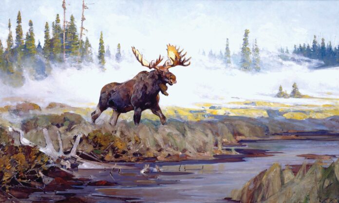 Wildlife art - Carl Rungius (1869–1959), 
