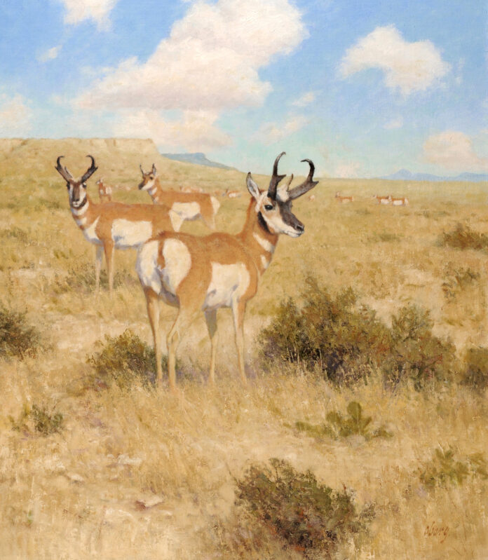 Buffalo Bill Art Show and Sale - western art