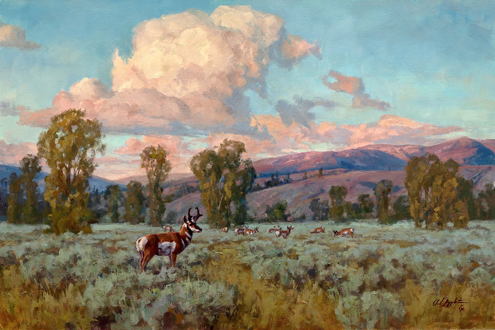 Buffalo Bill Art Show and Sale - western art