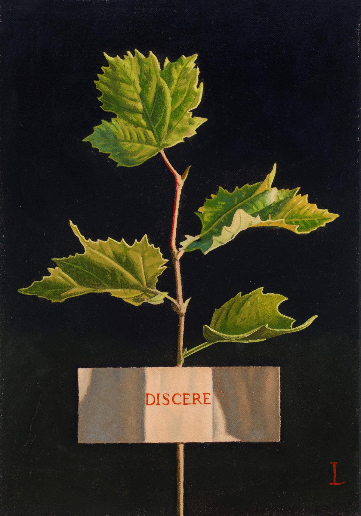 David Ligare, "Discere (To Learn)," 2024, Oil on canvas, 14 x 10 in.