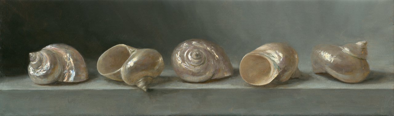 contemporary realism - Sarah Lamb, "Shells," 2024, oil on canvas, 8 x 27 inches