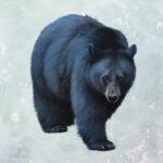 Two Big Talents in Tennessee Lisa Gleim (b. 1971), "Mountain Nomad," 2024, pastel on Smoky Mountains map, 30 x 30 in.