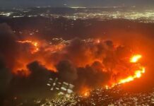 Insuring Your Art Before a Wildfire or Other Natural Disaster Insuring your art - LA fires