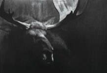 Visit the 43rd Southeastern Wildlife Exposition Wildlife art - RAY BROWN (b. 1966), Veiled, 2024, charcoal on paper mounted on board, 48 x 38 in.