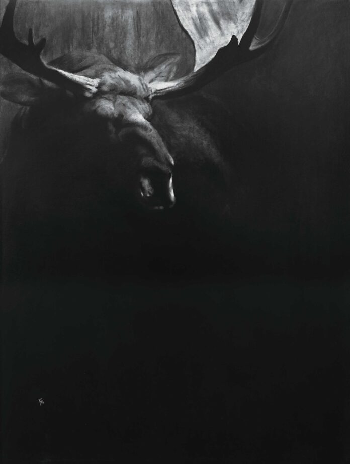 Wildlife art - RAY BROWN (b. 1966), Veiled, 2024, charcoal on paper mounted on board, 48 x 38 in.