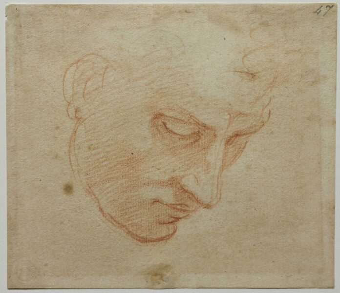 Michelangelo-Buonarroti Michelangelo drawings - MICHELANGELO BUONARROTI (1475–1564), Study for a Male Face for The Flood, c. 1508–09, red chalk on paper, 5 x 6 in., Casa Buonarroti, Florence, inv. 47 F