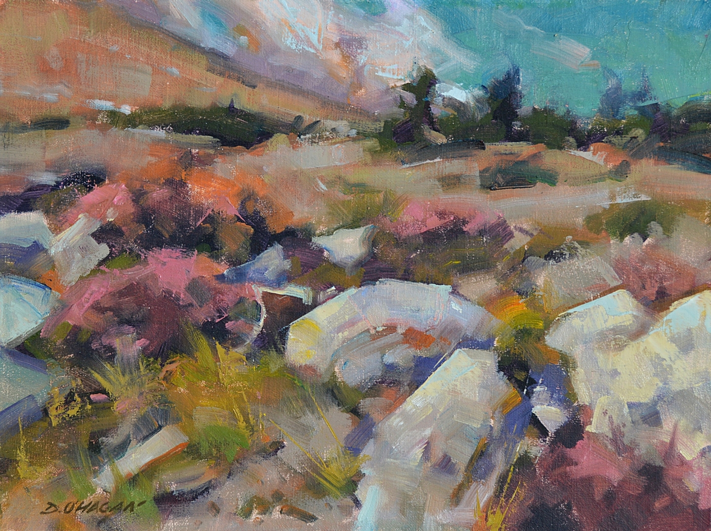 "Near Mount Evans" by Desmond O'Hagan
