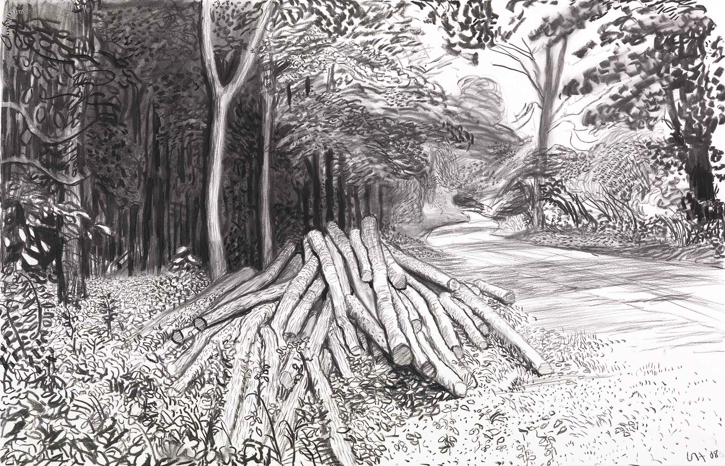 David Hockney, "Cut Trees – Timber," 2008,Charcoal on paper, 26 x 40 1/4 inches. Image Credit: Richard Schmidt