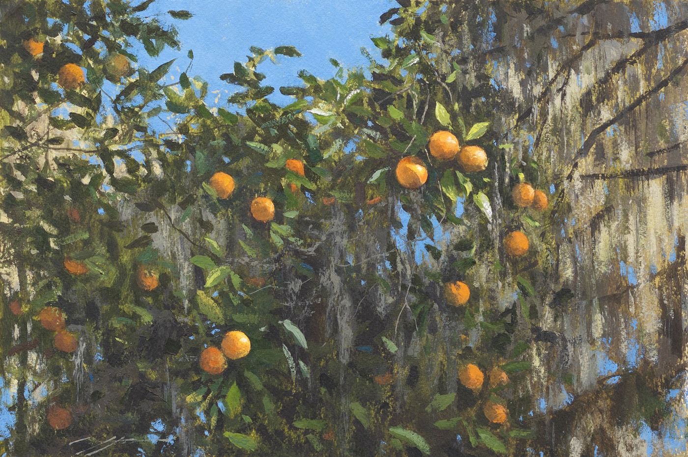 oil painting of oranges on bushes