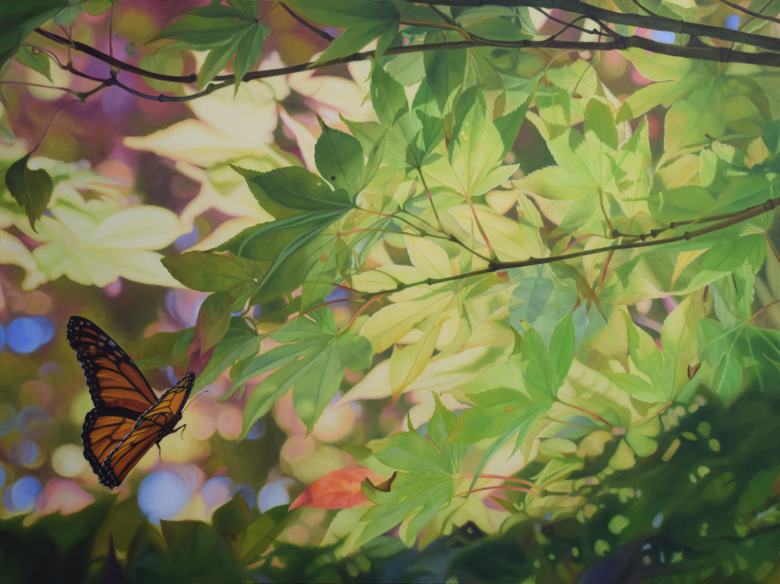 Contemporary paintings - Claudia Tullos-Leonard, “Chasing the Light,” oil on panel, 30” x 40”