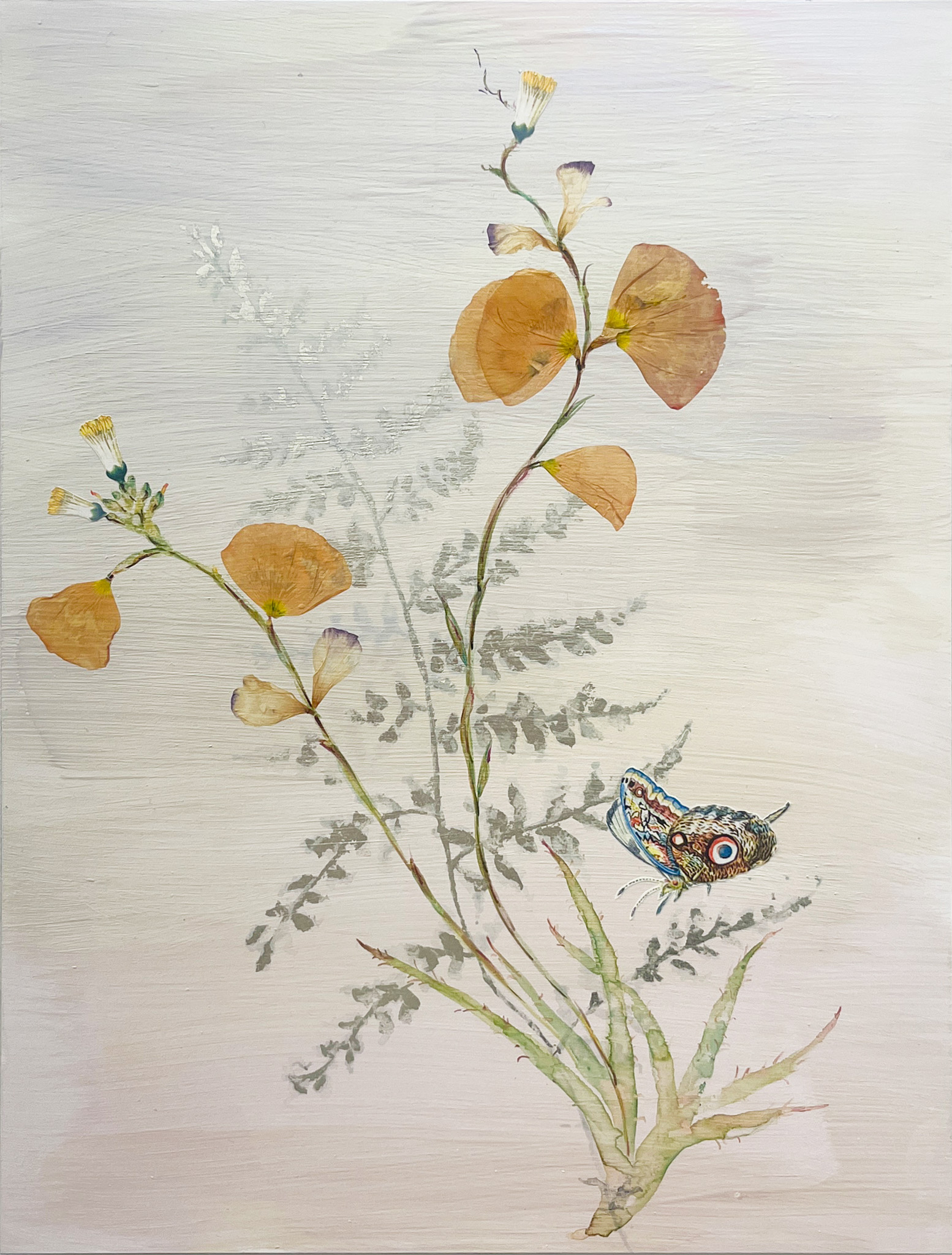 Marilla Palmer, "The Impermanence of Light," 2025, Pressed foliage, Durabrite prints, 12K gold leaf, acrylic on Ampersand panel, 16 x 12 in.