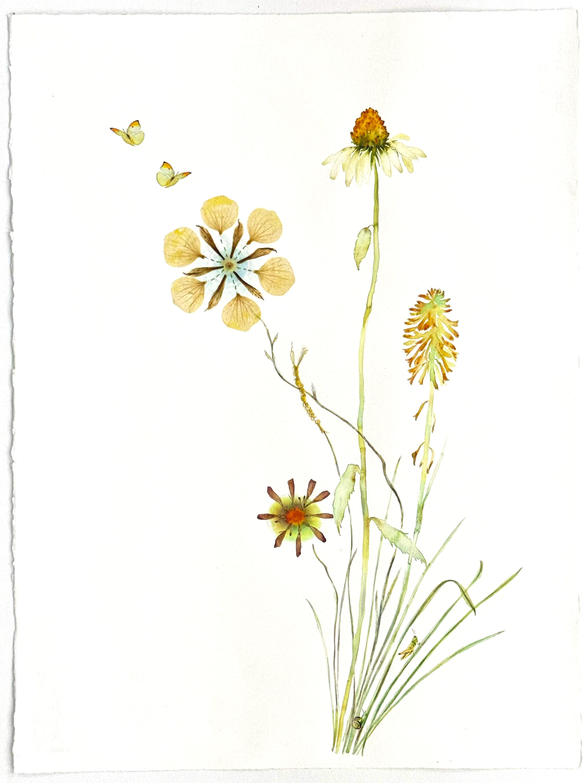 Marilla Palmer, "Mellow Yellow," 2025, watercolor, sequins, pressed petals, Durabrite prints, stitching on Arches cold press paper, 30 x 22 in.