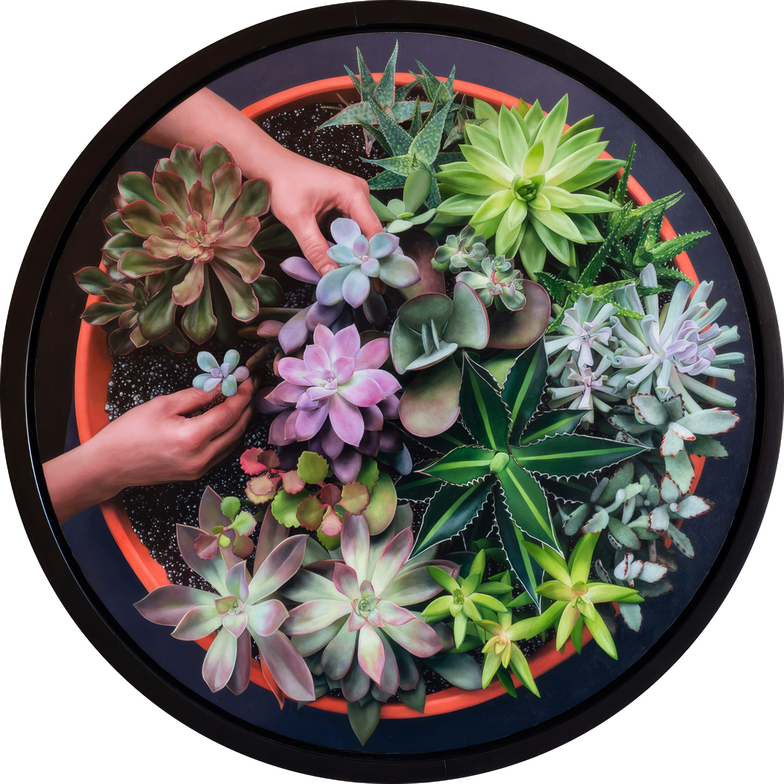 Contemporary paintings - Karen Ann Paavola, “Succulent Garden II,” oil on panel, 24” round