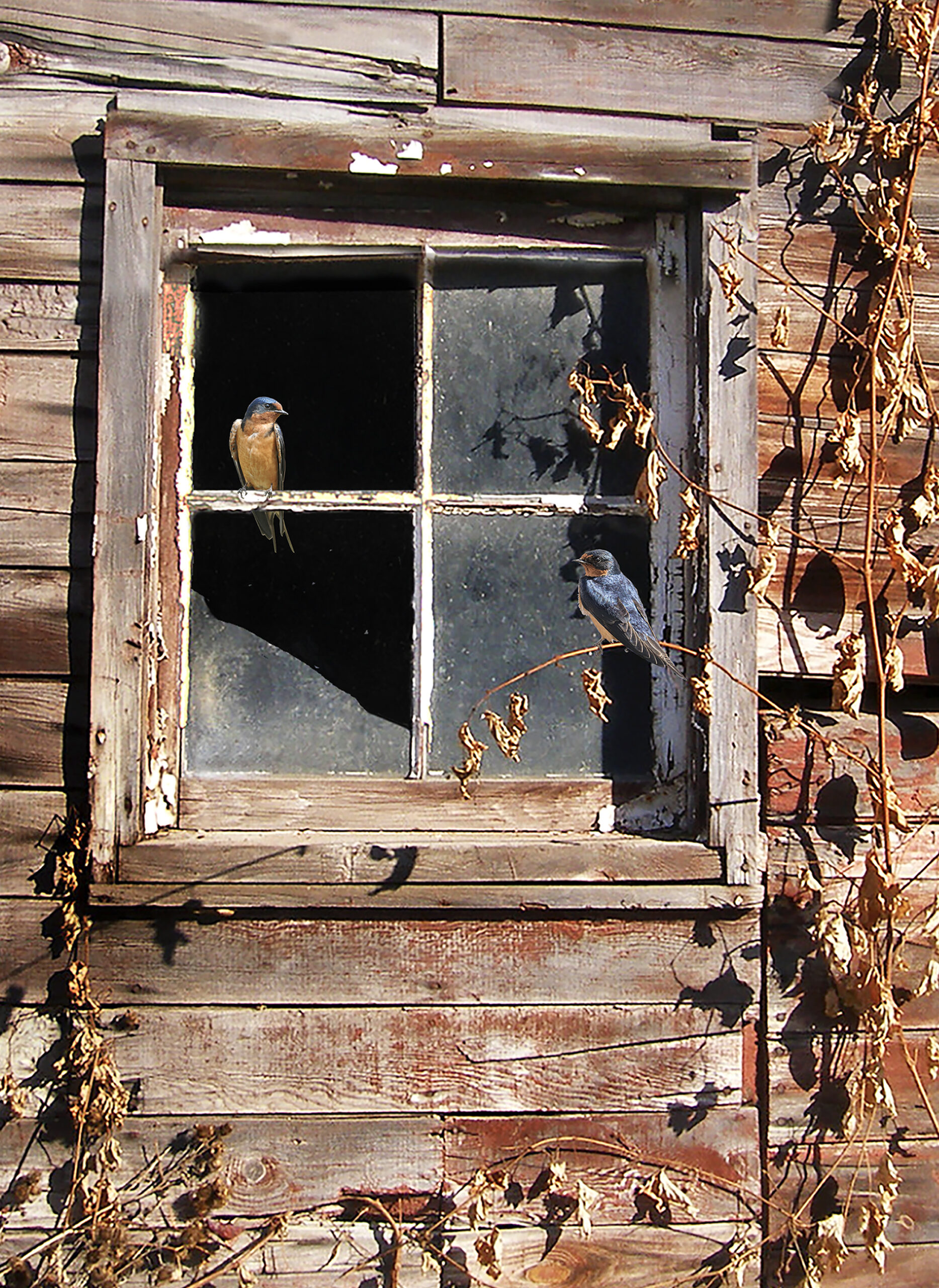 Mikel Donahue, “Move-In Ready,” 2025, acrylic, 12 ¼ x 20 inches