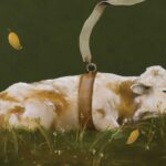 Collecting Art: A Moment of Pure Connection