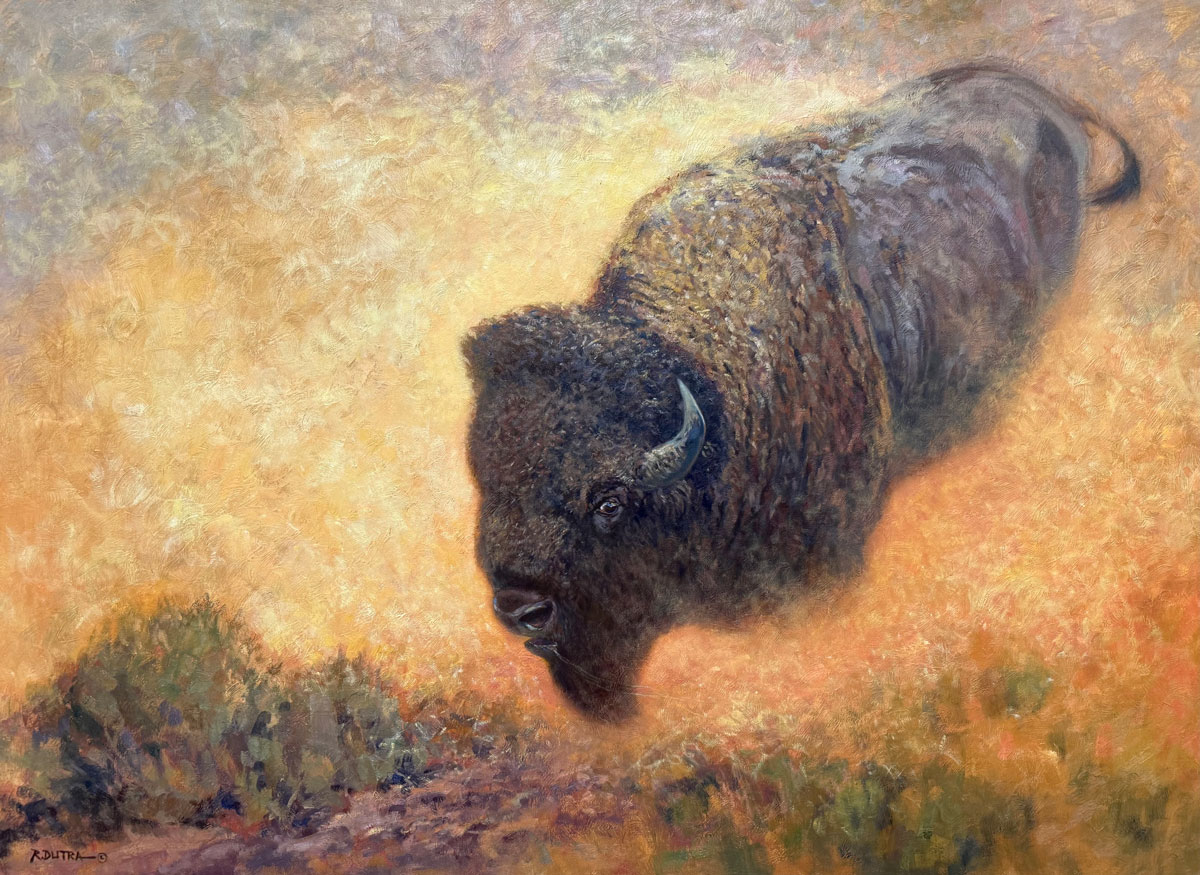 Randal Dutra, “Dust Devil – American Bison,” oil on Belgian linen, 36 x 50”