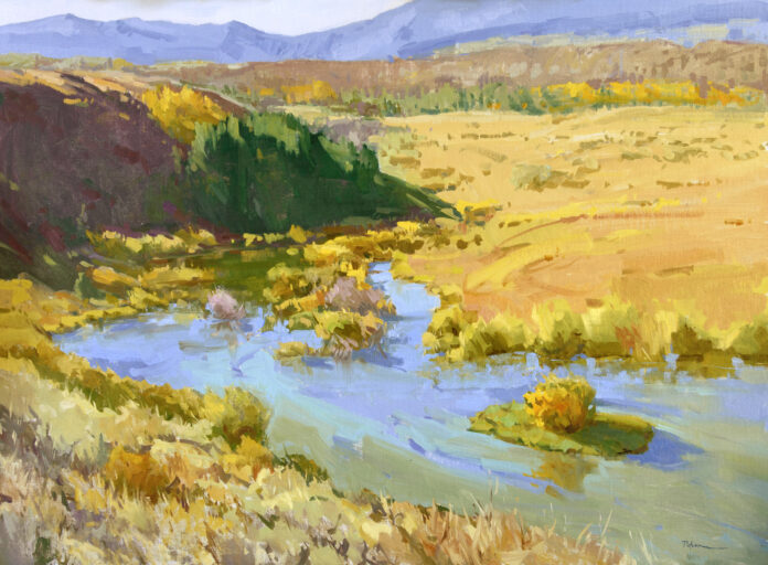 stream near glowing field