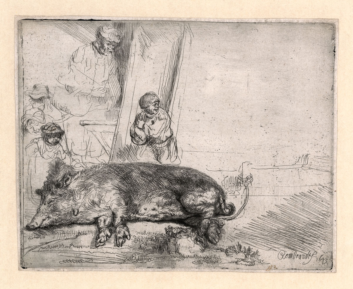 “The Hog,” 1643, etching and drypoint, 5 11/16 x 7 1/4 in. Rembrandt House Museum, Amsterdam
