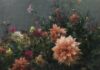 Kyle Ma: Light, Land & Legacy Still life painting of dahlias