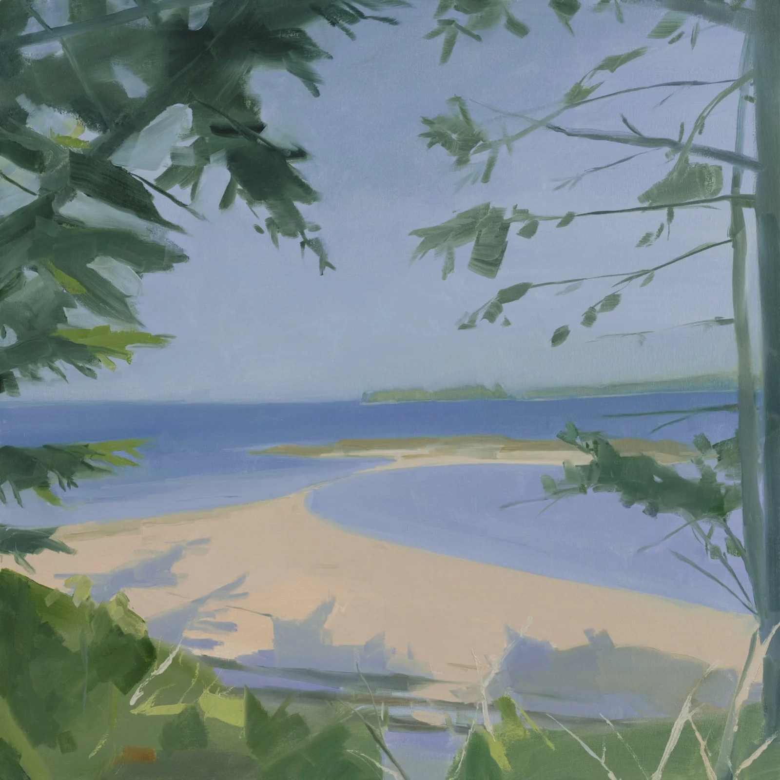 Sara MacCulloch, "First Day on Great Spruce (Sunny)," 2025, oil on canvas, 30 x 30 in.