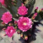 The Best & Brightest in Scottsdale Scottsdale Artists' School - Laura Krusemark (b. 1977), "Desert Fireworks," 2025, oil on panel, 12 x 12 in.