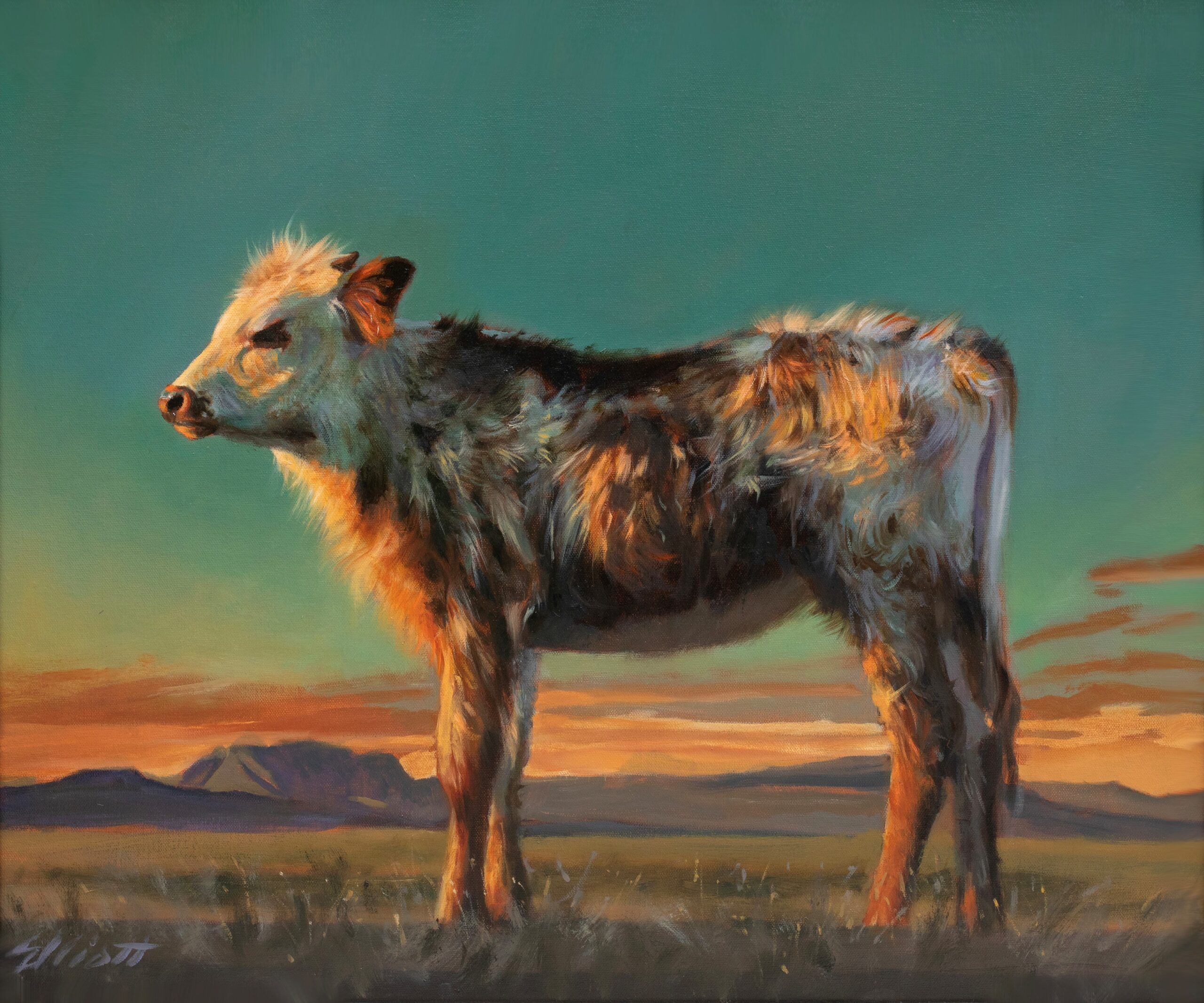 Painting of a cow - Teresa Elliott (b. 1953),”Winter Coat,” Oil on linen, 20 x 24 in.
