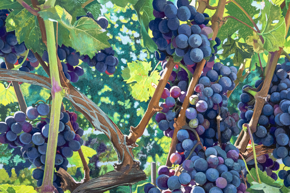 Painting of grapes on a vine at a vineyard