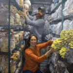Wende Caporale-Greene: The Art of Feeding Community Wende Caporale-Greene, "Mushroom Farmers Spencer & Rebecca," 2025, oil on canvas, 46 x 46 inches, image courtesy of the artist and Mattatuck Museum