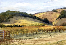 Artist Spotlight: Larry Cannon