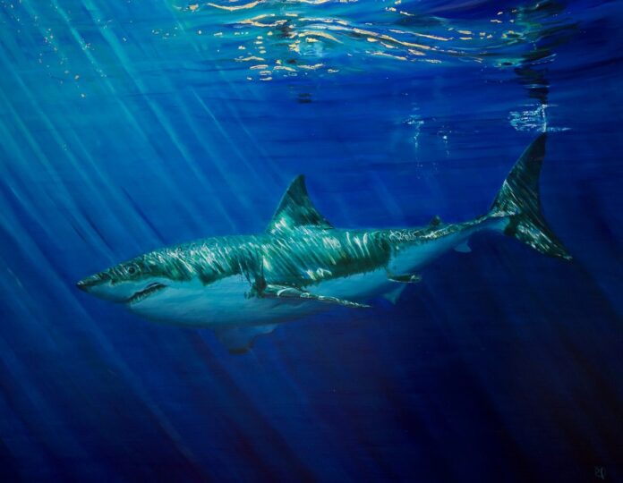 Alexandra Telgmann, "Golden Ocean Reflection - Shark," 2006, oil on canvas, 31.5 x 39.5 in.