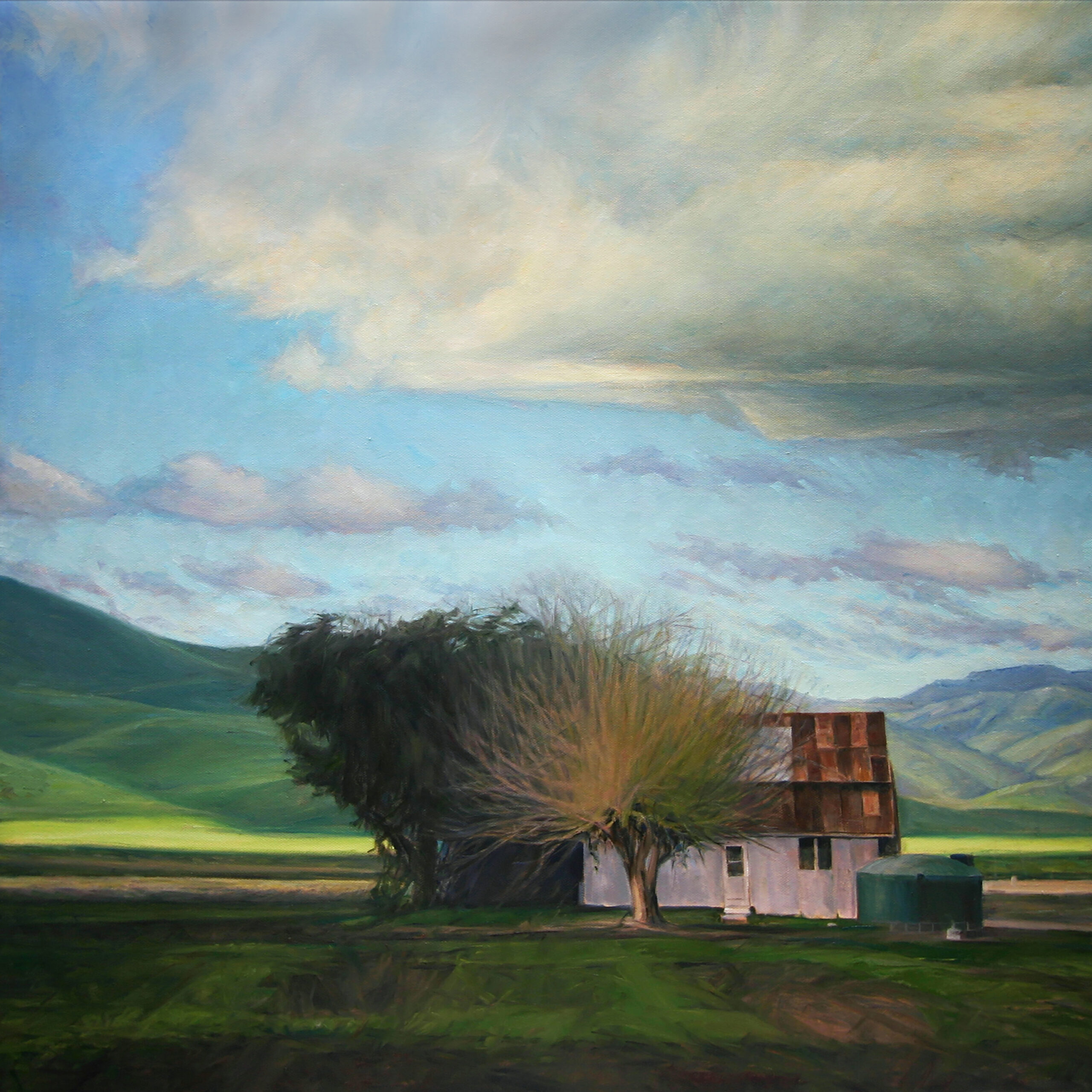 Lisa Mozzini-McDill, “Farmland,” Oil on canvas, 24 x 24 inches
