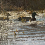 Wildlife & Western Art in Wyoming This Season Wildlife art - T. ALLEN LAWSON (b. 1963), "Into Open Water," 2026, oil on linen mounted on panel, 9 x 14 in.