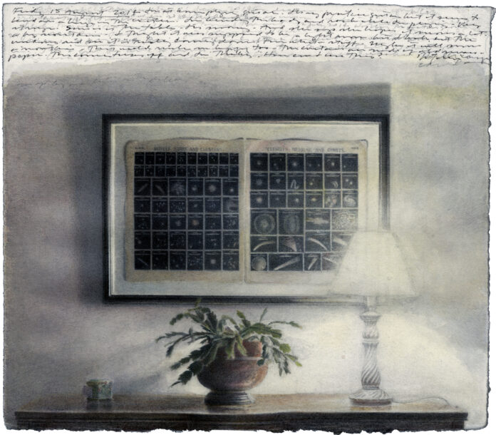 Charles Ritchie, "Astronomical Chart, Cactus, and Lamp," 2003-2004, Watercolor, graphite, and ink on Fabriano paper, 6 1/4" x 7"